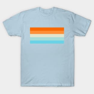 Orange and Blues Striped Color Palette T-Shirt